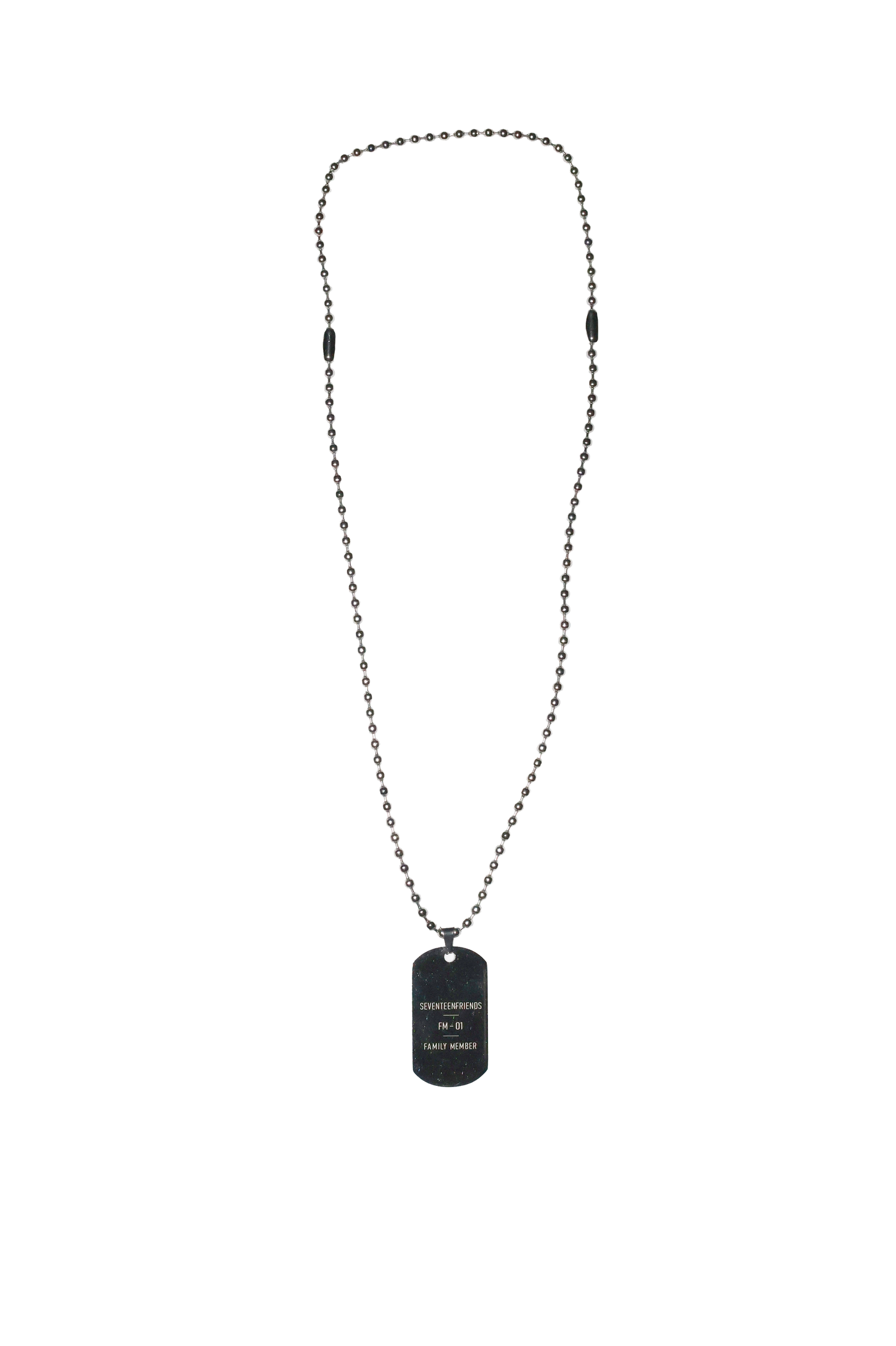 FAMILY MEMBER DOG TAG CHAIN